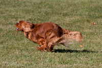 IMG_1602