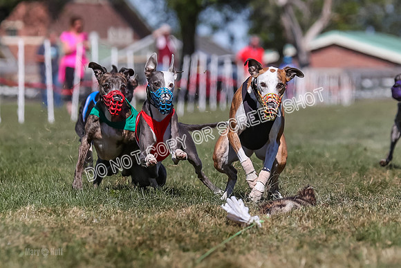 Prg 4, Race 4, Elia Zivah Moki Sansa Patsy-0164