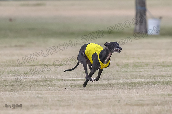 1Prelim Open 2 Shine Maverick Steel-2954