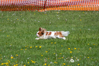 IMG_1157