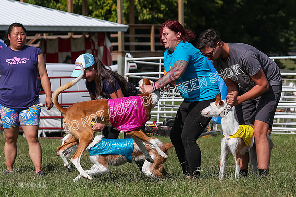 Open Prelim A1, Rose Riptide Idina-7543