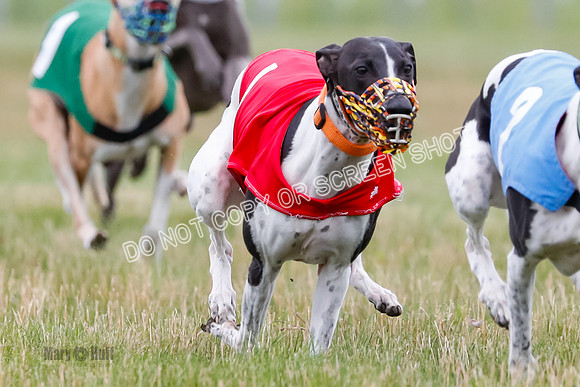 Prg 3, Race 2, Chuck-Tusi-Smokey-Raz-Angel-Nathalia-1057