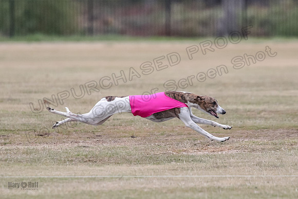 Finals Open 4 Rigel Trixie-4111