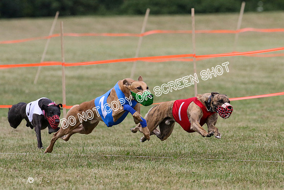 MCH70561 Stoke, Jack, Bean, Jagger