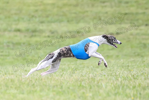 Prelim Open F5, Brinca Laila Storm-9398