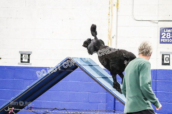 AE4I8407