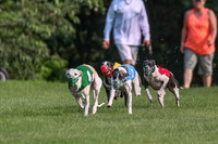 prg 1 race 2 Wallie Frankie Devo Sid Elsa-2860