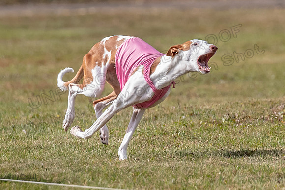 Finals Fch 1 Penny Jadis Madyson-3079