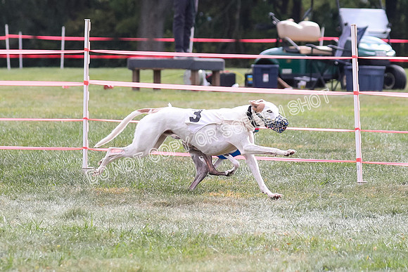 Prg 2, Race 1, Clyps Warrior Floyd Carney-1268