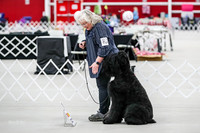 AE4I1833
