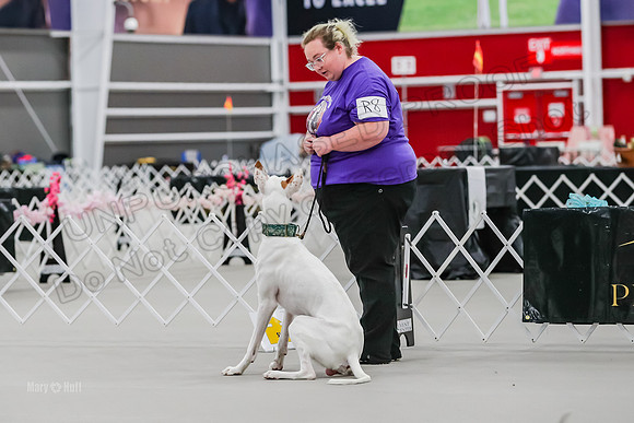 AE4I2060