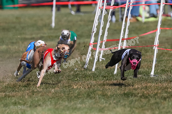 Prg 3, Race 6, Micky Sansa Power Arrow-2058