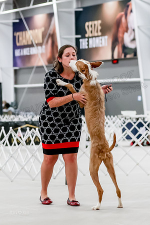 Futurity 6-9 Bitches-2299