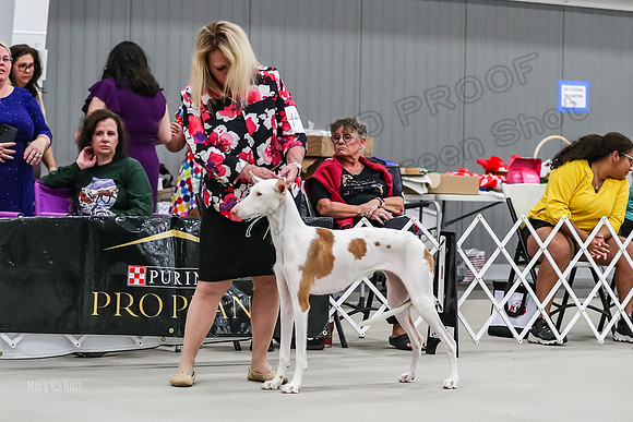 Veterans-2541