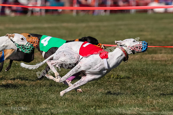 Prg 4, Race 13, oats Bookie Reas Rizzo-2773