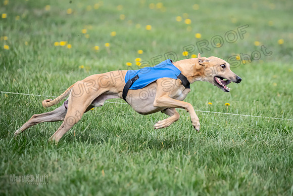 1 Prelim FCh A2 Keegan Really Rush-6657