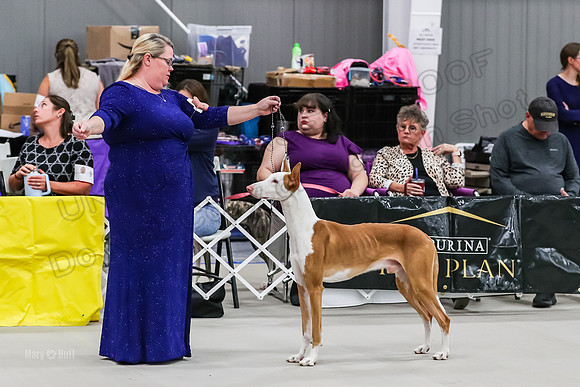 AE4I2774
