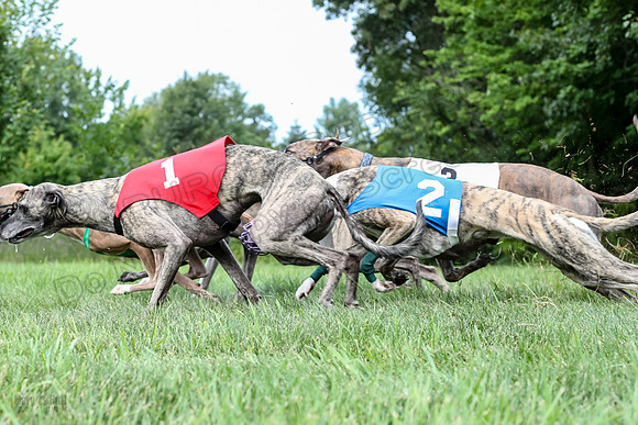 prg 1 race 4 lola Willow Finely Ullr Ready-3582