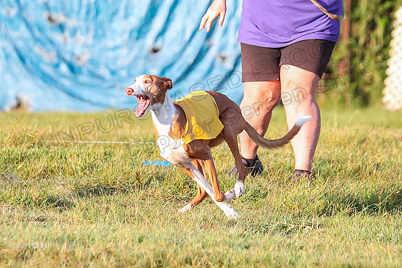 Prelims, FCh 1 Hurry Ginny-9622