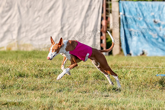 Prelims, FCh 2 Penny Madyson-9692