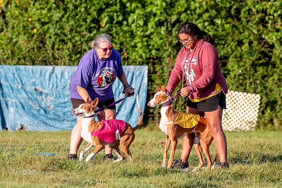 Prelims, FCh 2 Penny Madyson-9687