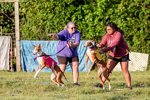 Prelims, FCh 2 Penny Madyson-9691