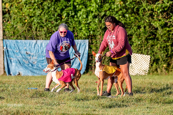 Prelims, FCh 2 Penny Madyson-9685