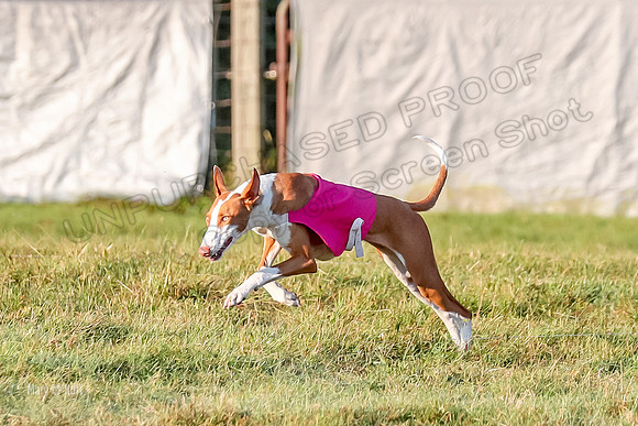 Prelims, FCh 2 Penny Madyson-9696