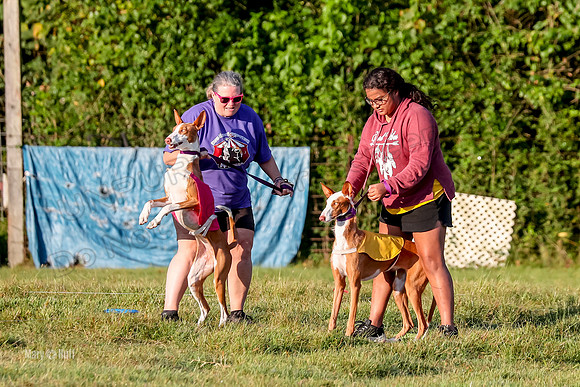 Prelims, FCh 2 Penny Madyson-9683