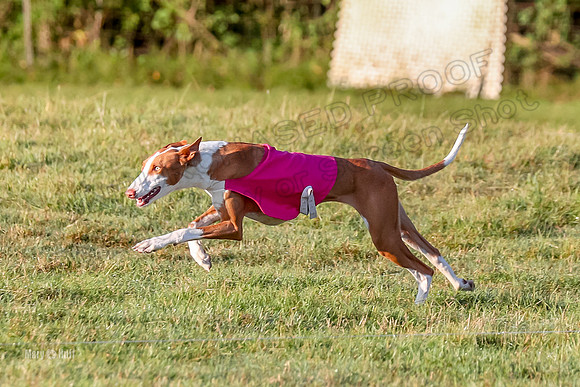 Prelims, FCh 2 Penny Madyson-9704