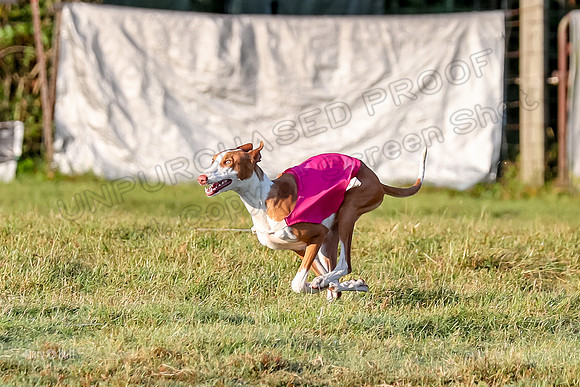 Prelims, FCh 2 Penny Madyson-9699