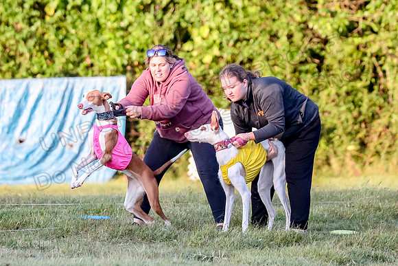 Prelims, Open 2 Willow Beastie-9470