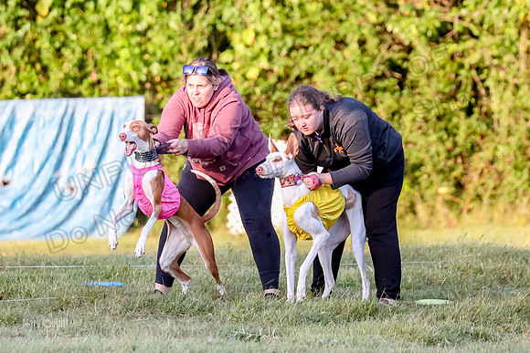 Prelims, Open 2 Willow Beastie-9473