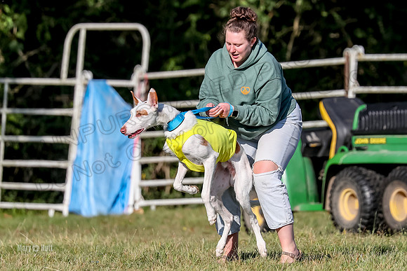 Finals, Singles 4 Argus-0756