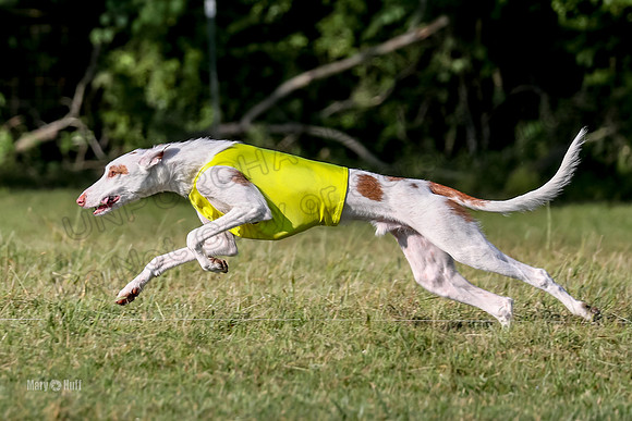 Finals, Singles 4 Argus-0783