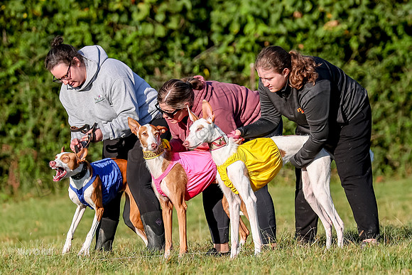 Finals, Open 1 Willow Reina Beastie-0169