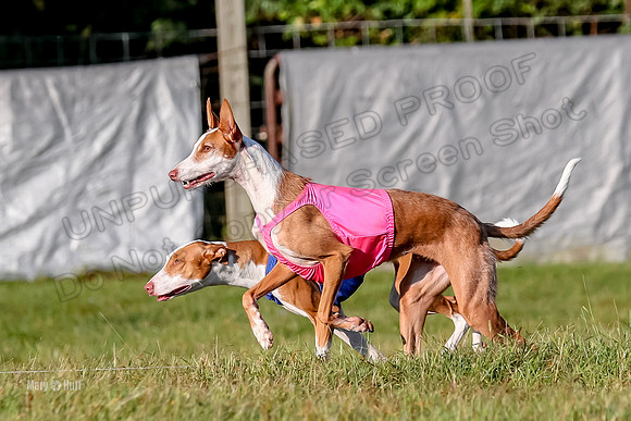 Finals, Open 1 Willow Reina Beastie-0179