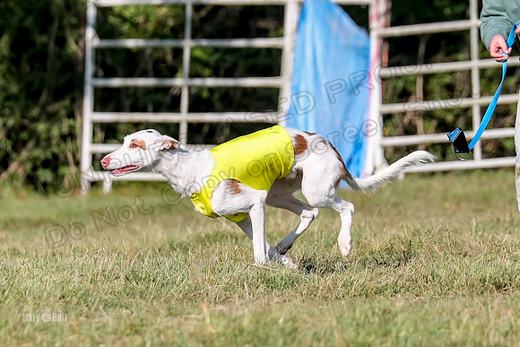 Finals, Singles 4 Argus-0762