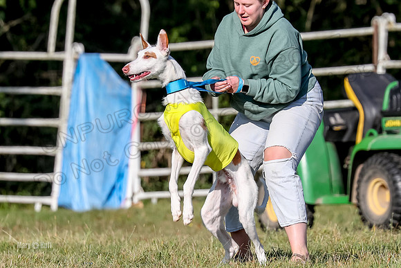 Finals, Singles 4 Argus-0758
