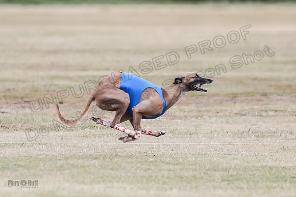 Finals Open 2 Cheese PeteySue Treble-3939