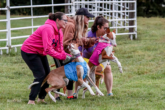Prelims, Open B2 Reina Eden Joanna-6543