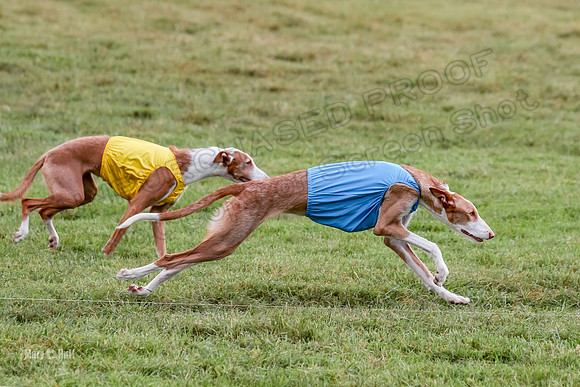 Prelims, Open B2 Reina Eden Joanna-6556