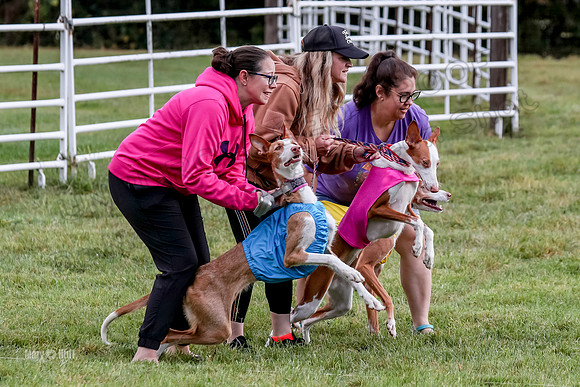 Prelims, Open B2 Reina Eden Joanna-6542