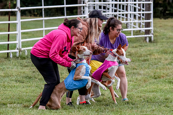 Prelims, Open B2 Reina Eden Joanna-6541