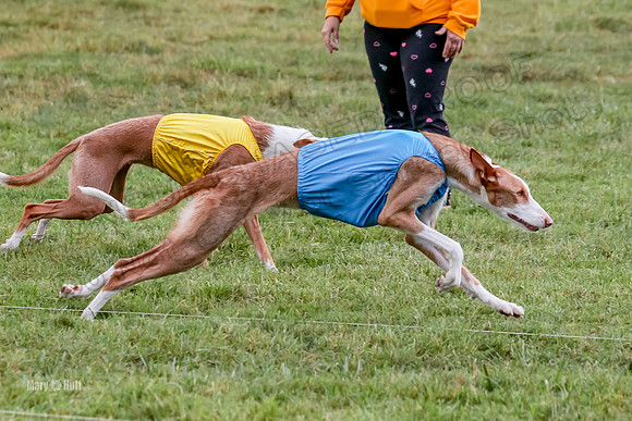 Prelims, Open B2 Reina Eden Joanna-6555