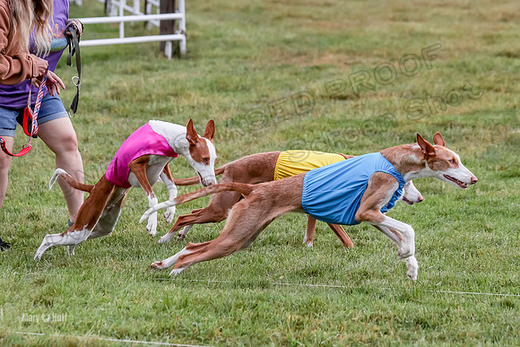 Prelims, Open B2 Reina Eden Joanna-6551