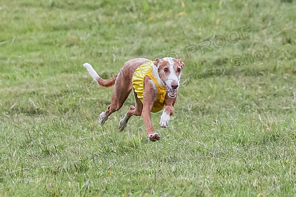Prelims, Open B2 Reina Eden Joanna-6578