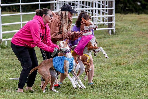 Prelims, Open B2 Reina Eden Joanna-6544