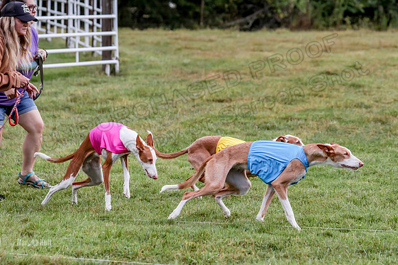 Prelims, Open B2 Reina Eden Joanna-6552