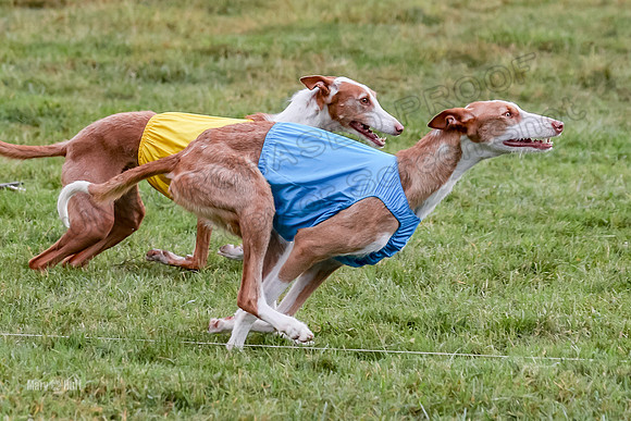 Prelims, Open B2 Reina Eden Joanna-6553